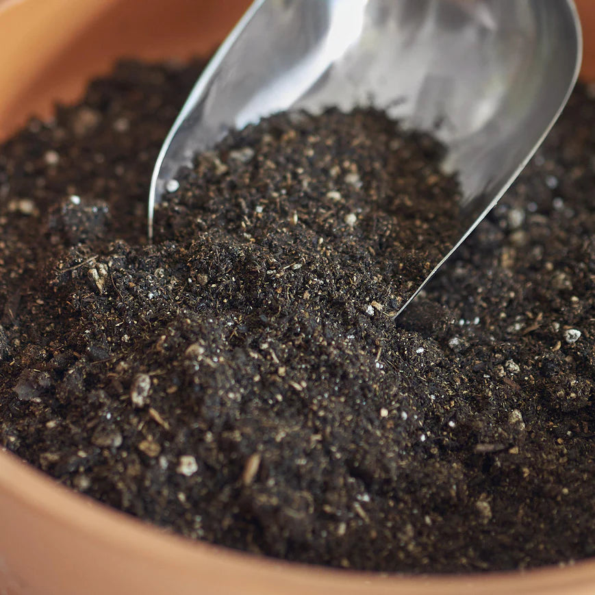 Indoor Plant Potting Soil Puck Green Memento