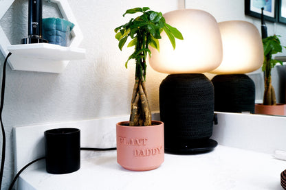 Plant Daddy Planter by Rosebud HomeGoods Green Memento