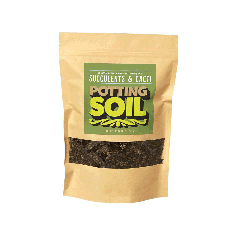 Succulent and Cacti Potting Soil - 1 lb Bag Green Memento
