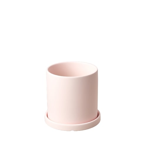 Matte Finish Cylinder Pot - Pink Green Memento